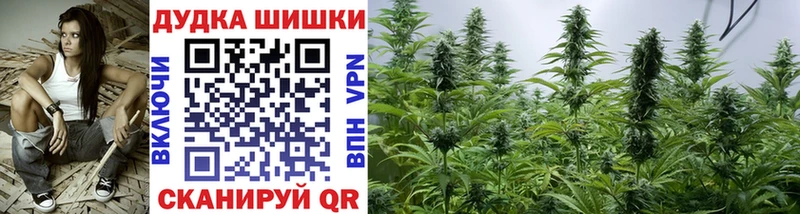 хочу наркоту  Белоусово  Конопля сатива 